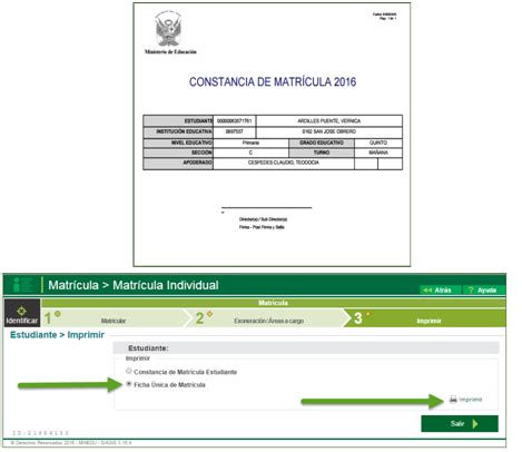 Matr Cula Individual C Mo Obtener La Constancia De Matricula Siagie