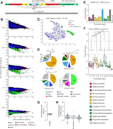 Studying Rna Dna Interactome By Red C Identifies Noncoding Rnas