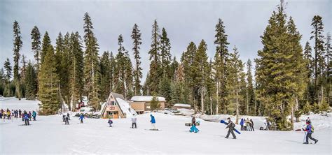 Badger Pass Ski Area Webcam - Discover Yosemite National Park