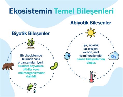 Maddede Ekosistem Nedir Garanti Bbva