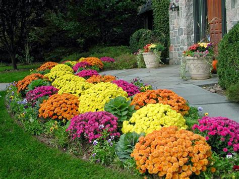 Planting Flowers For Fall And Winter