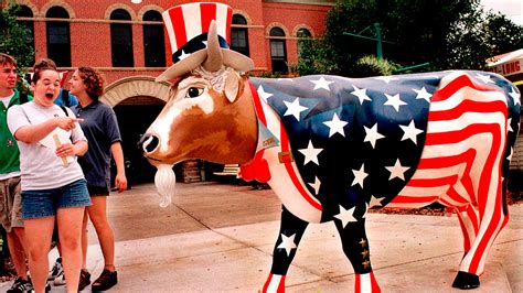 Iconic Fiberglass Cows Returning To Chicago Nbc Chicago