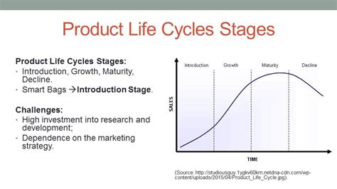 Product Life Cycle Explained Stage And Examples 50 Off