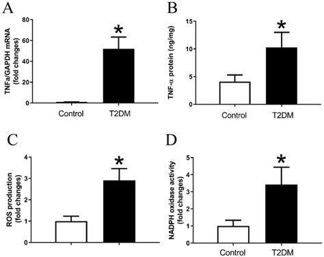 Expression Of Tnf Ros Production And Nadph Oxidase Activity In