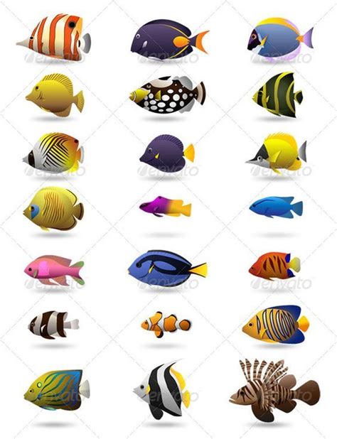 21 Colorful Tropical Fishes Animals Characters More Marine Aquarium