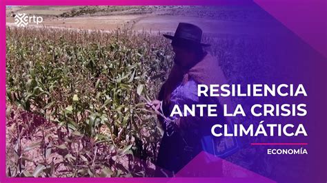 Resiliencia Ante La Crisis Climática Youtube