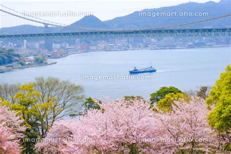 桜咲く春の日の山公園トルコチューリップ園から望む関門海峡 日本の写真素材 216114051 イメージマート