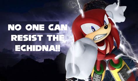 Knuckles Memes Be Like... : r/SonicMarioGlitchy5