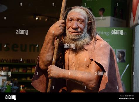 Neanderthals Hi Res Stock Photography And Images Alamy