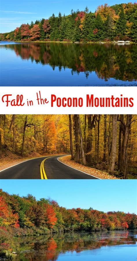 How to Find the Most Beautiful Fall Foliage in the Poconos – Dang Travelers