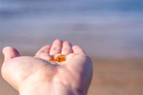 Jak znaleźć bursztyn na plaży i gdzie najlepiej go szukać Triverna