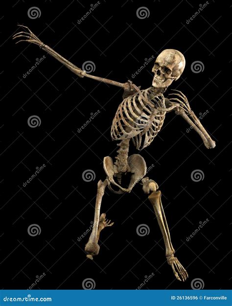 Pointing Skeleton Royalty Free Stock Image Image