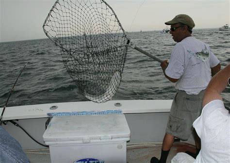 Ginny G Cape Cod Sport Fishing Charters Provincetown All You Need