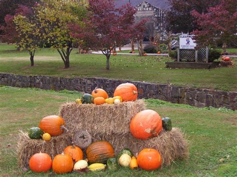 The 25+ best Fall festival decorations ideas on Pinterest | Harvest ...