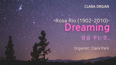 아름다운 꿈을 꾸는 듯한 Like a dream in a fantastic mood Dreaming 꿈을 꾸는것