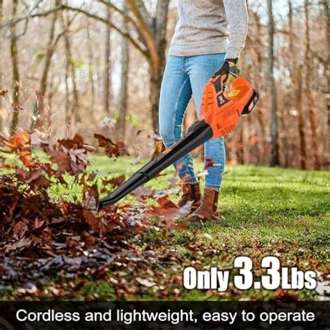 Leaf Blower Cordless21v Handheld Electric Leaf Blower With Battery And Charger Ebay