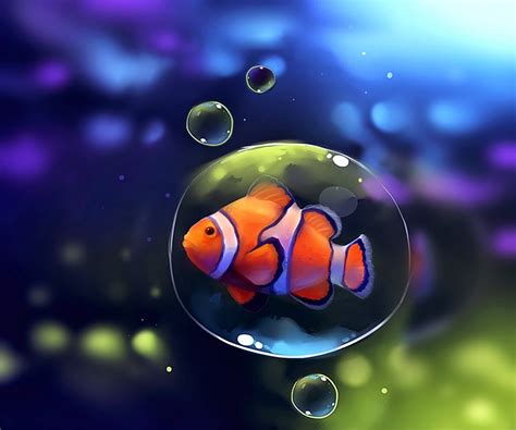 Clown Fish Wallpaper HD - WallpaperSafari