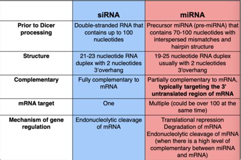 Module 7 Rna Interference And Rna Processing Flashcards Quizlet