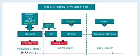 randomized controlled trial describing  timing  vt ablation