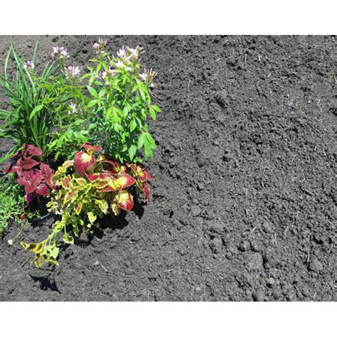 Organic Soil Mix