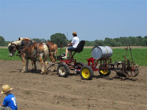 Kim Hadwen: Pioneer Horse Equipment