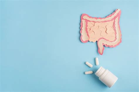 Comparison: Digestive Enzymes, Probiotics, And Prebiotics