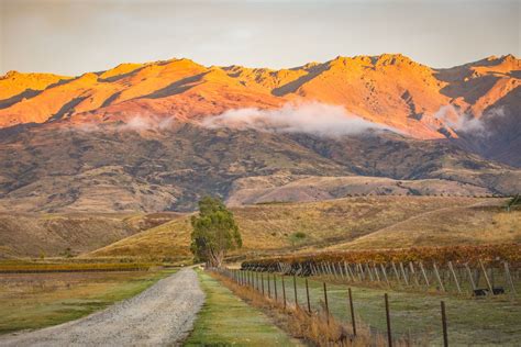 visit central otago | Central otago, Otago, New zealand