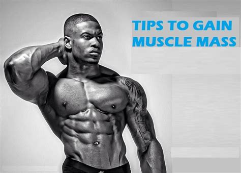 Muscle Palace: Tips to Gain Muscle Mass