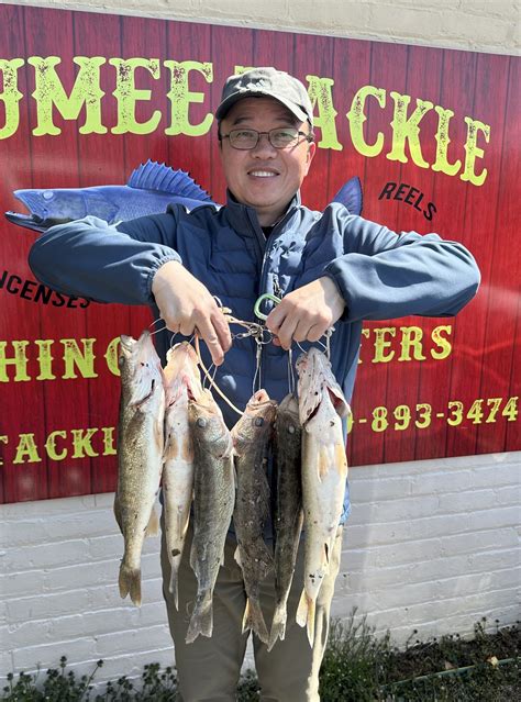 Maumee River walleye run report 4 April 2023
