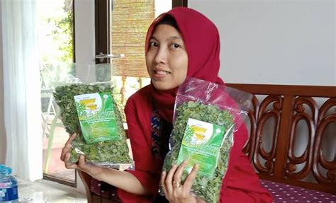 7 Manfaat Daun Kelor Untuk Wanita Odesa Indonesia