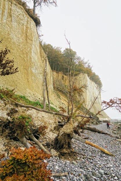 Premium Photo Ruegen Island With White Chalk Rock Cliff At Baltic Sea