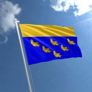 Sussex flag for sale | buy flag of Sussex | The Flag Shop