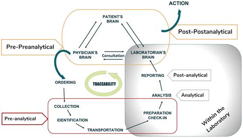 Defining And Managing The Preanalytical Phase With FMECA Automation