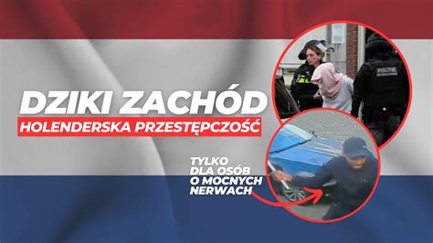 Dziki Zach D Holenderska Przest Pczo Youtube