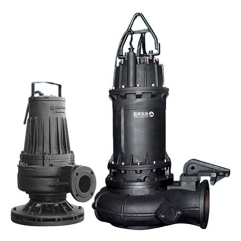 Submersible Sewage Pumps manufacturer from China Shanghai Liancheng ...