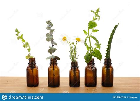 Brown Bottles Of Essential Oil With Fresh Herbs Stock Photo Image Of