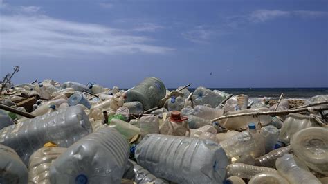 La Basura Pl Stica Es Tambi N Culpable Del Cambio Clim Tico