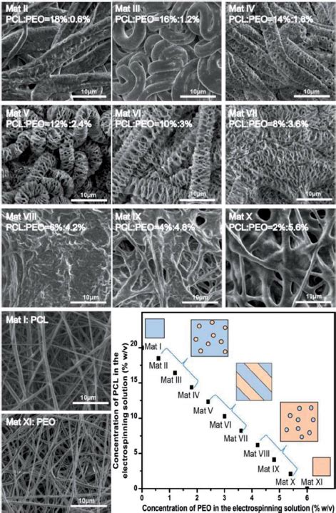 SEM Images And Phase Illustration Of Electrospun PCL PEO Blends Mat