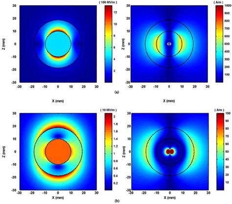 Comparison Of The Resonant Electric And Magnetic Field Distributions