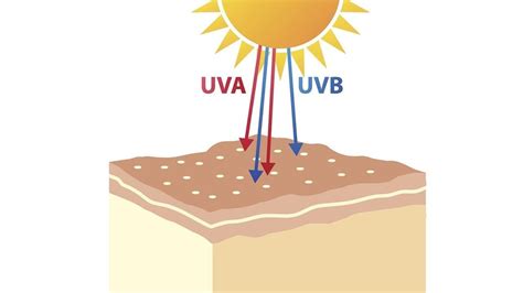 Efectos Nocivos Del Exceso De Sol En La Piel Lydia Patton Youtube