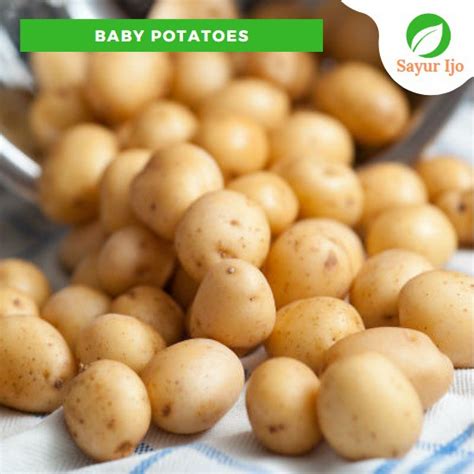 Jual Baby Potatoes Gram Fresh Baby Potato Kentang Kecil