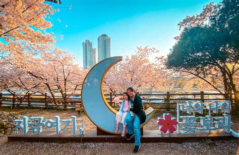 10 Secret Spots To See Cherry Blossoms In Seoul In Total Peace » Travel ...