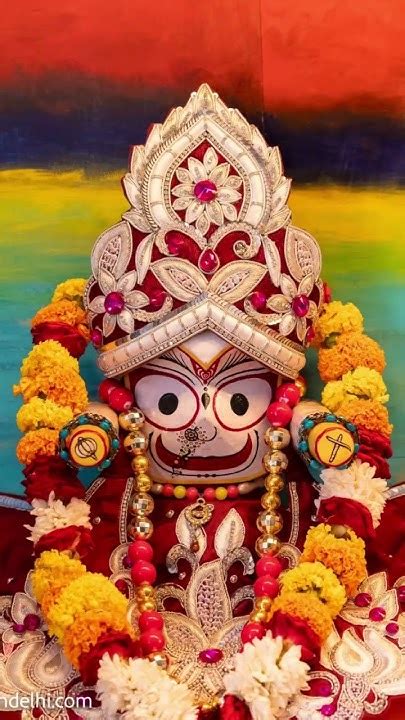 Snan Yatra Special Sringar Aarti Darshan 🙏💐💐sri Sri Jagannath Baladev