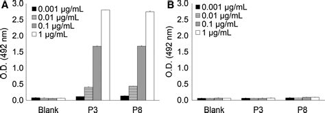 Galactose Deficient Iga1 Specific Antibody Recognizes Galnac Modified Unique Epitope On Hinge