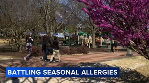 Seasonal Allergies Its Not Just You Heres Why Pollen Allergies Are