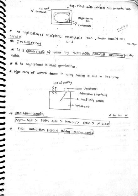 Chapter 11 Transport In Plants Class 12 Biology Notes For Cbse Board