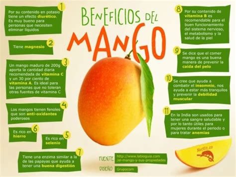 Descubre Los Beneficios Y Contraindicaciones Del Mango En Este Completo