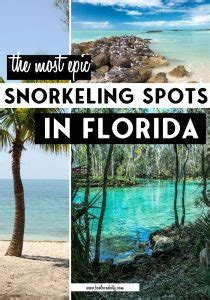 Best Places For Snorkeling In Florida That You Must Visit