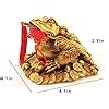 Amazon Mulhue Brass Feng Shui Money Frog Three Legged Wealth Frog