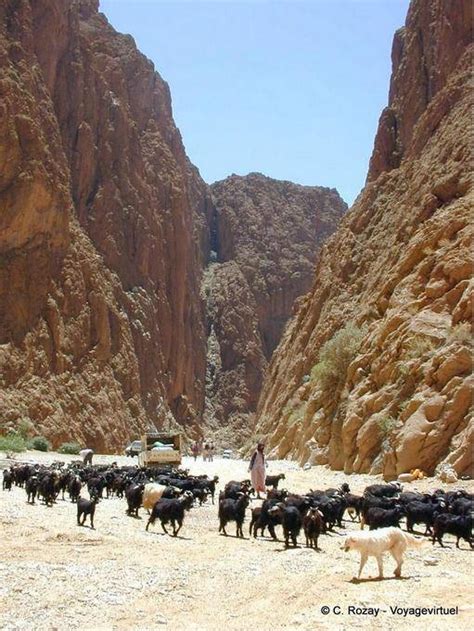 Todgha Gorge Todgha To Tinghir Morocco